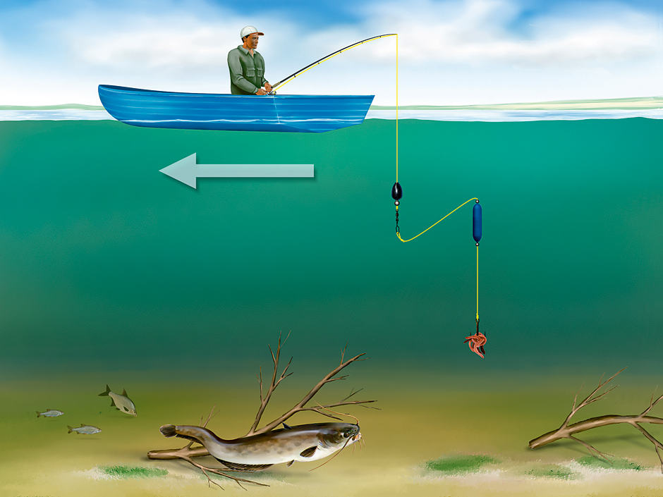 Правильная тактика ловли сома на лягушки в астраханских водоемах