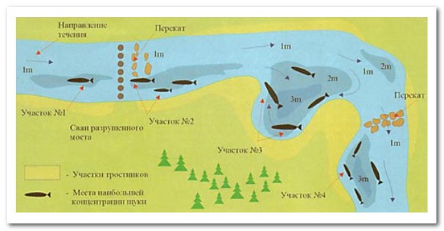 Где можно бесплатно порыбачить в подмосковье?