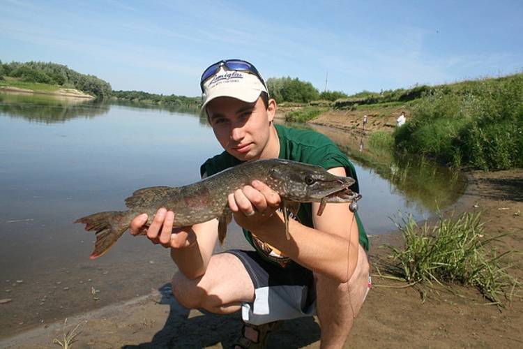 Рыбалка в мордовии зимой и другие сезоны года, какая рыба водится в суре: читаем по пунктам