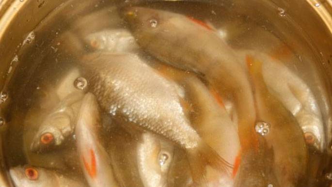 Как убрать соль из соленой красной рыбы?