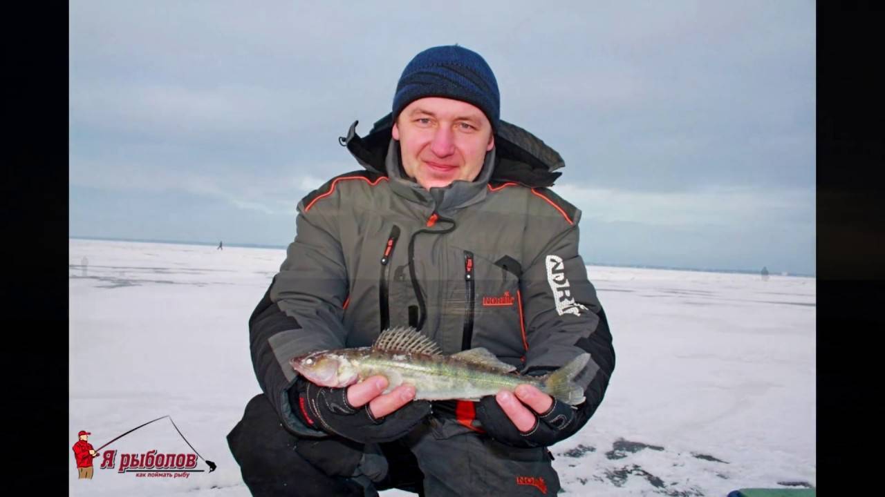 Рыбалка на финском заливе — ловля зимой или летом, какая рыба водится (судак, корюшка)