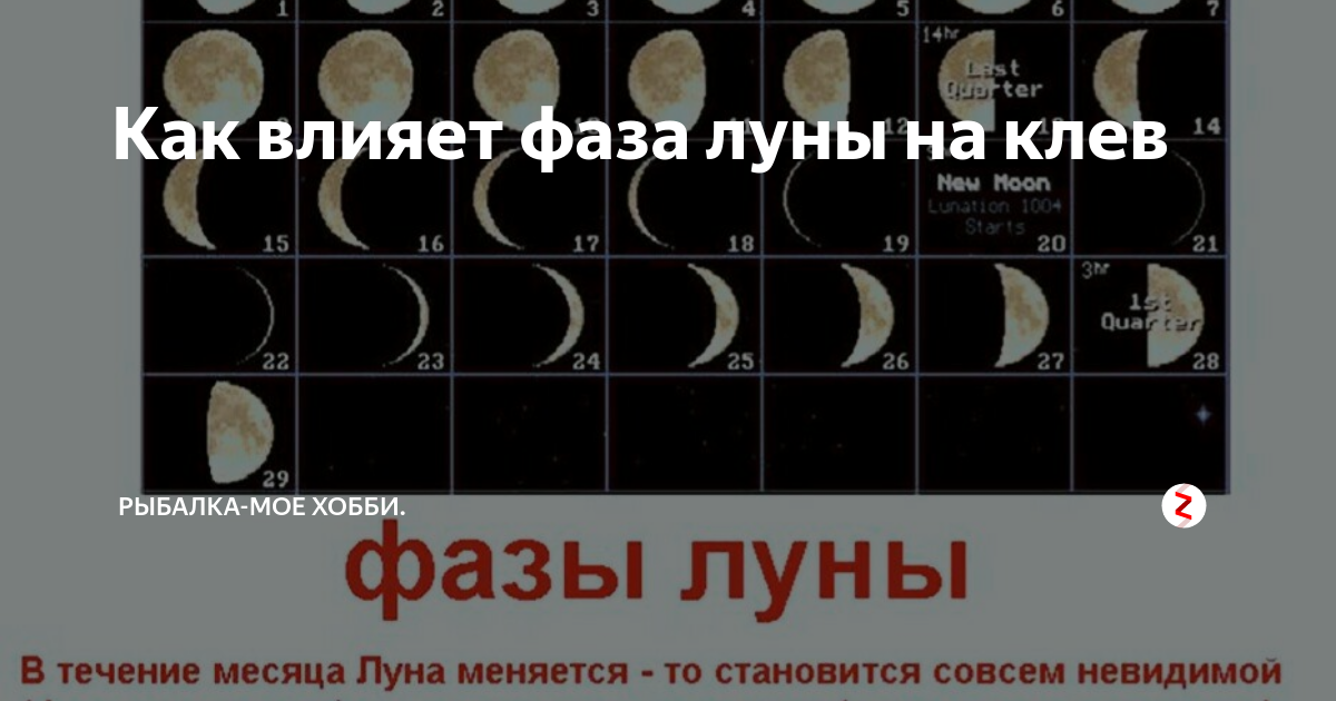 При какой луне лучше клюет рыба: влияние вазы луны на клев