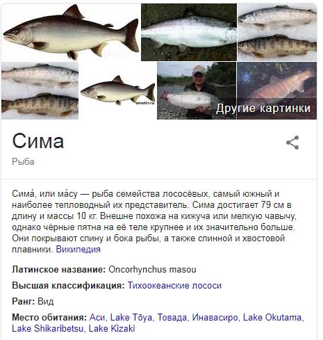 Рыба «Сима» фото и описание