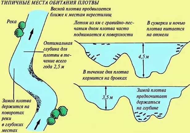Рыбалка на волге в конце лета