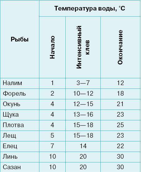 Нерест плотвы: условия, когда начинается и особенности