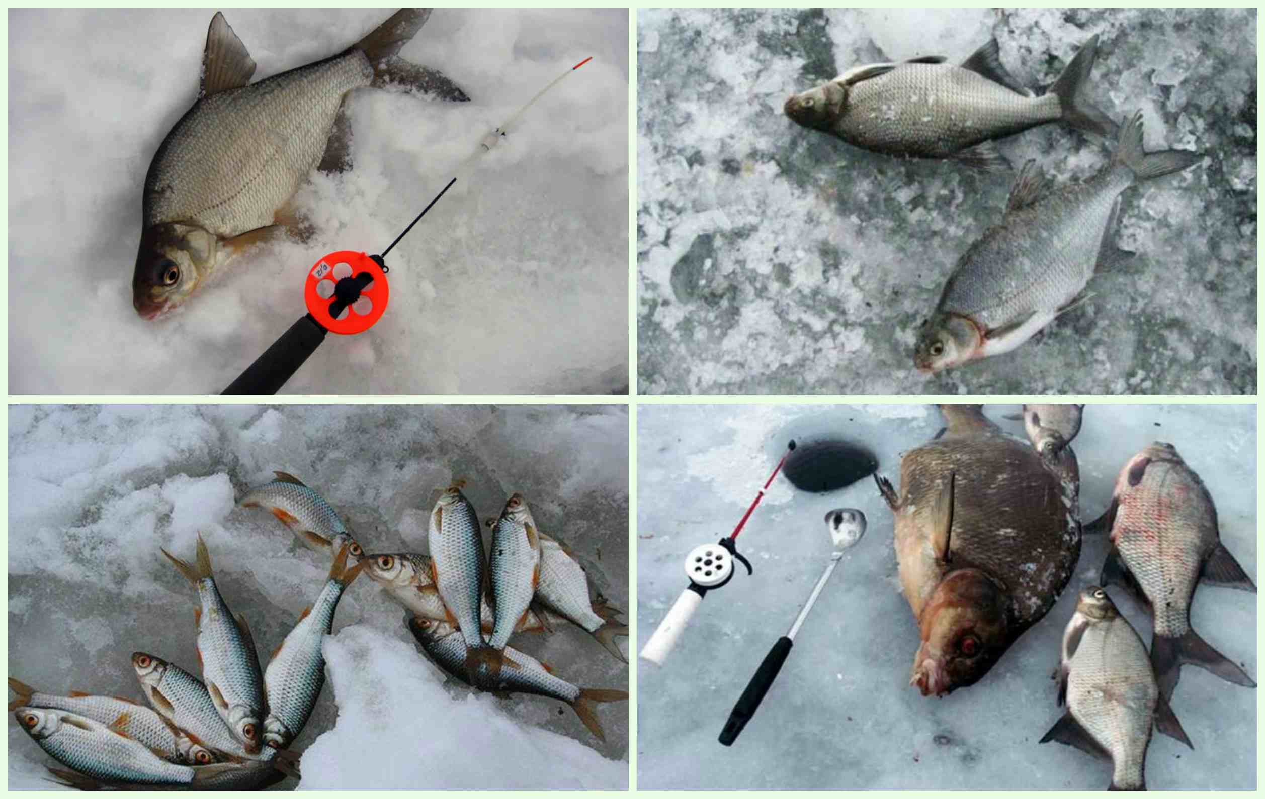 Рыбалка на озернинском водохранилище платно. firstfisher.ru – интернет-журнал о рыбалке и рыболовах.