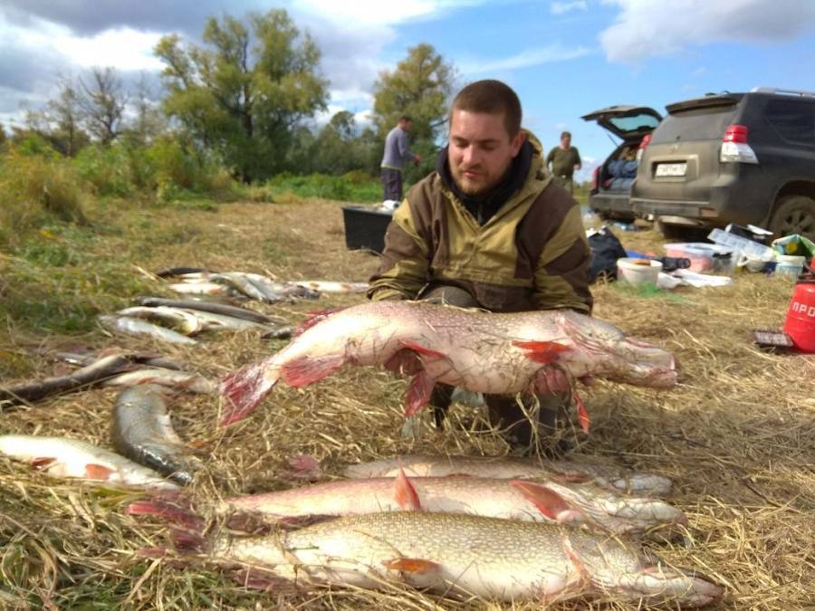 Рыбалка в ишиме и ишимском районе: лучшие места для ловли, какая рыба водится в реке