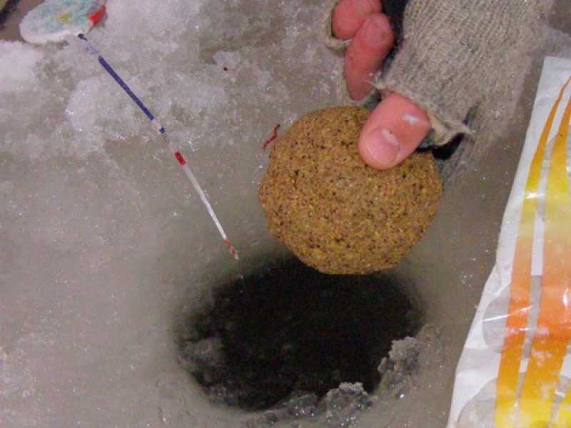 Прикормка для зимней рыбалки своими руками: из чего, какую и как правильно использовать