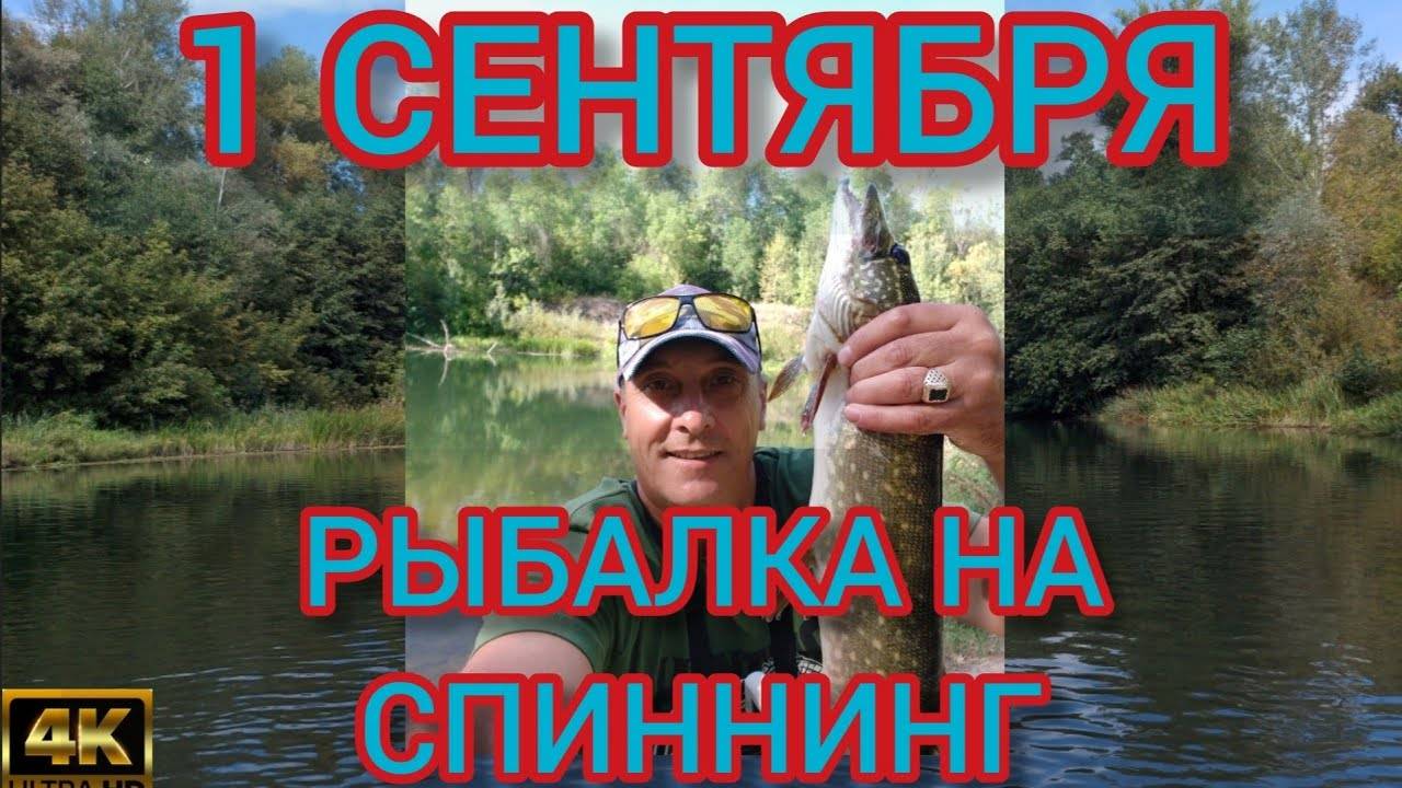 Ловля судака осенью на спиннинг: сентябрь, октябрь, ноябрь