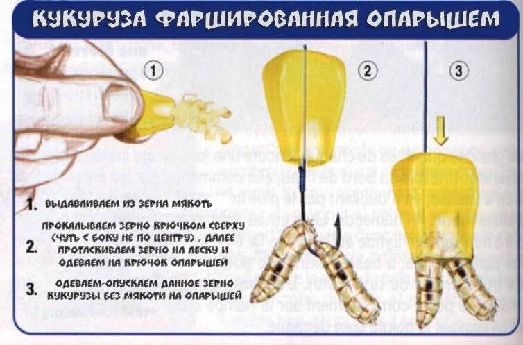Способы насадки опарыша на крючок