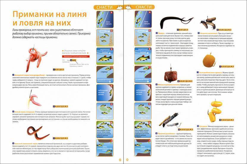 Как поймать больше рыбы зимой: 5 рекомендаций