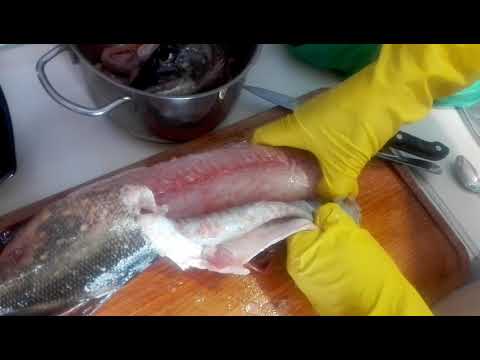 Фаршированная рыба: как правильно снять кожу со щуки