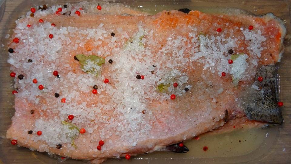 Как засолить форель: 7 вкусных и быстрых рецептов в домашних условиях