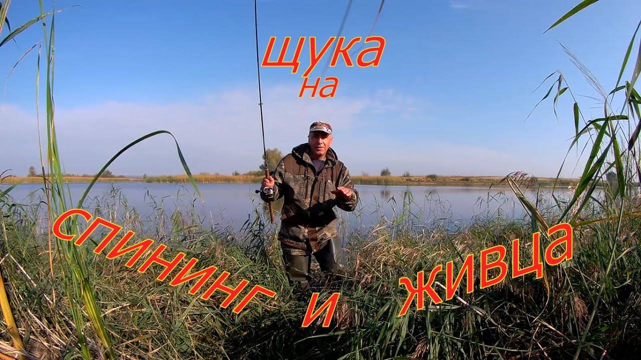 На что можно ловить рыбу, на какую приманку лучше клюет на реке или озере