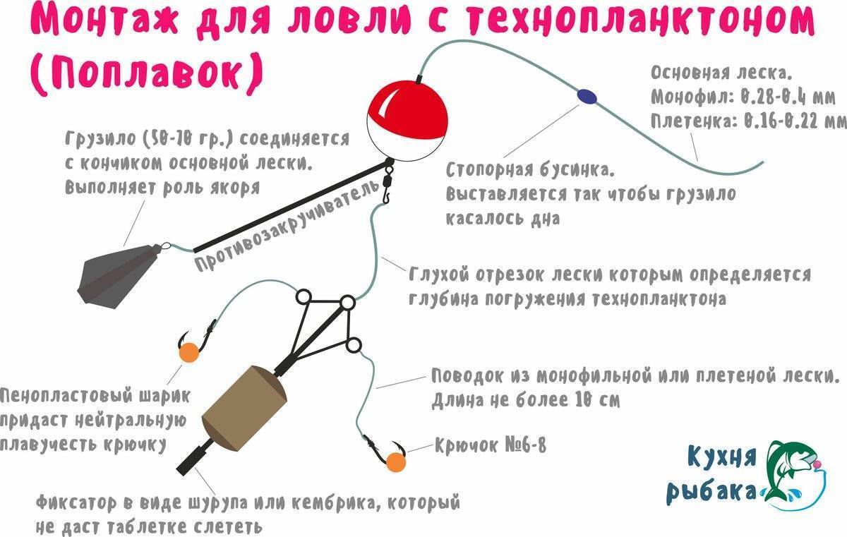 Ловля толстолобика: способы, особенности ловли