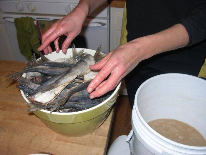 Мокрый и сухой посол мелкой и крупной рыбы, как приготовить тузлук, способы засолки рыбы в походных условиях. | выживание в дикой природе