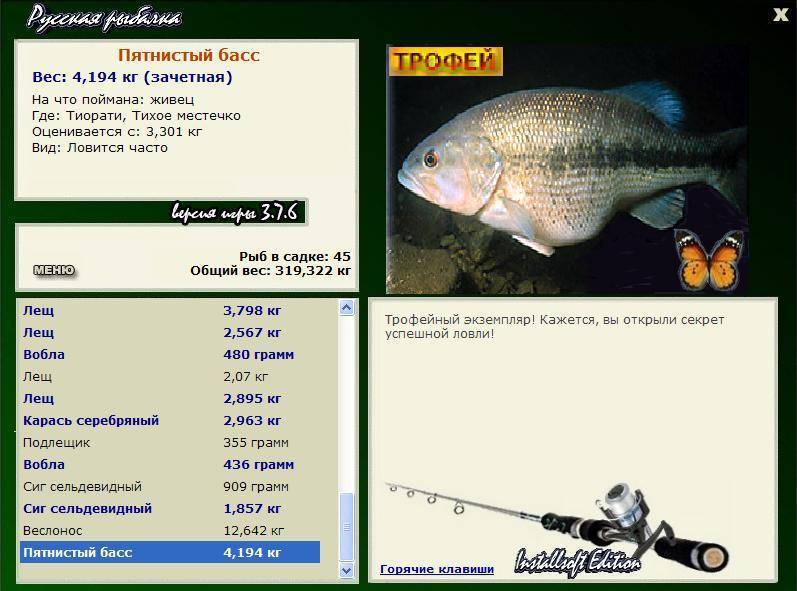 Басс малоротый фото и описание – каталог рыб, смотреть онлайн