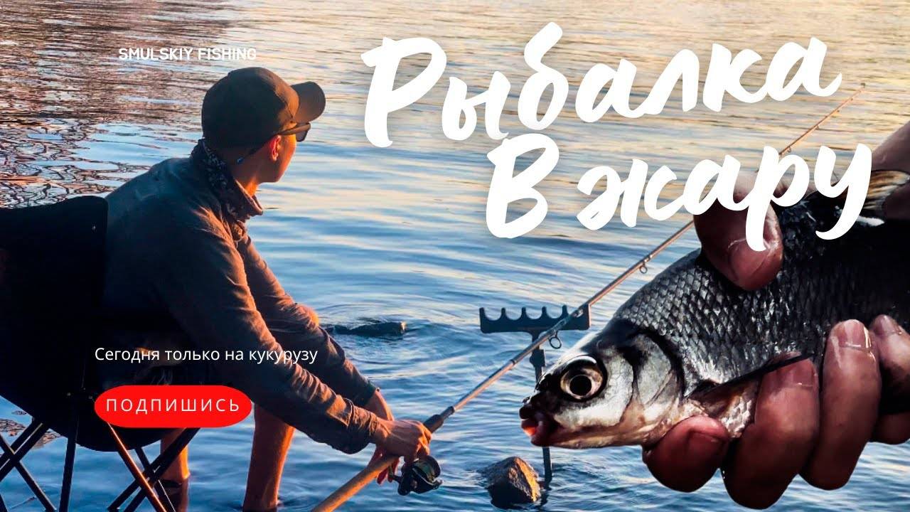 Ловля налима осенью на фидер: секреты успешной рыбалки + видео