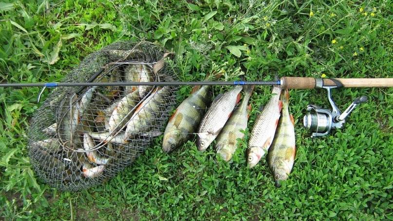 Рыбалка в ульяновске и ульяновской области