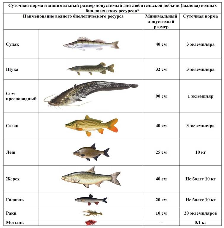 Актуальные на 2023 год правила рыбалки в москве и московской области