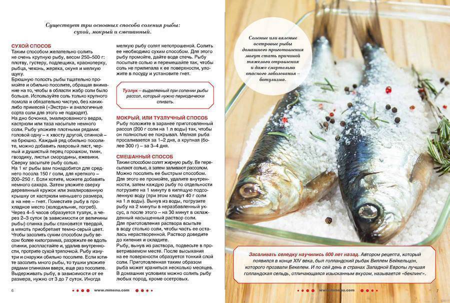 Как засолить рыбу в домашних условиях: простые пошаговые видео рецепты для засолки любой рыбы - все курсы онлайн