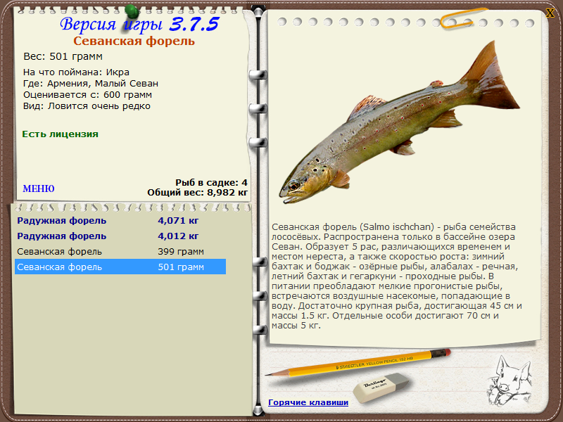 Форель золотая мексиканская фото и описание – каталог рыб, смотреть онлайн
