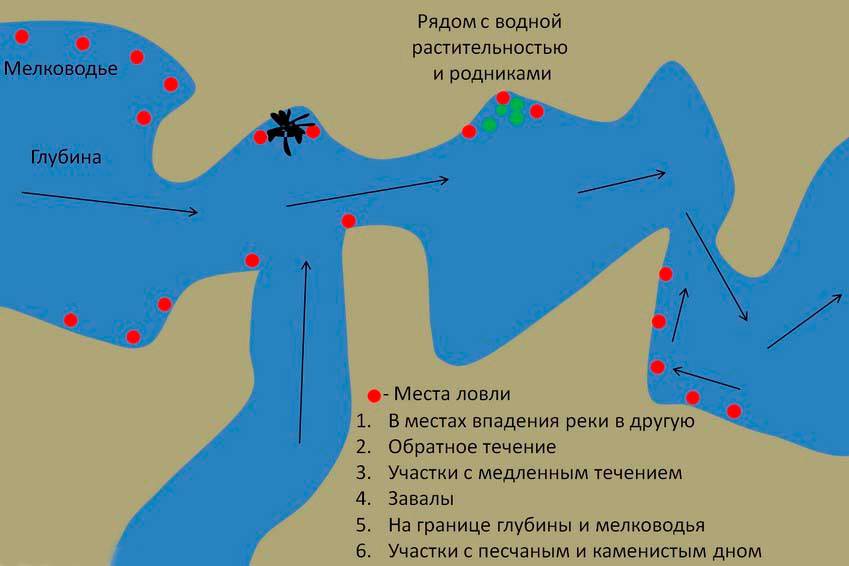 Рыбалка в харьковской области в 2018-2019 году
