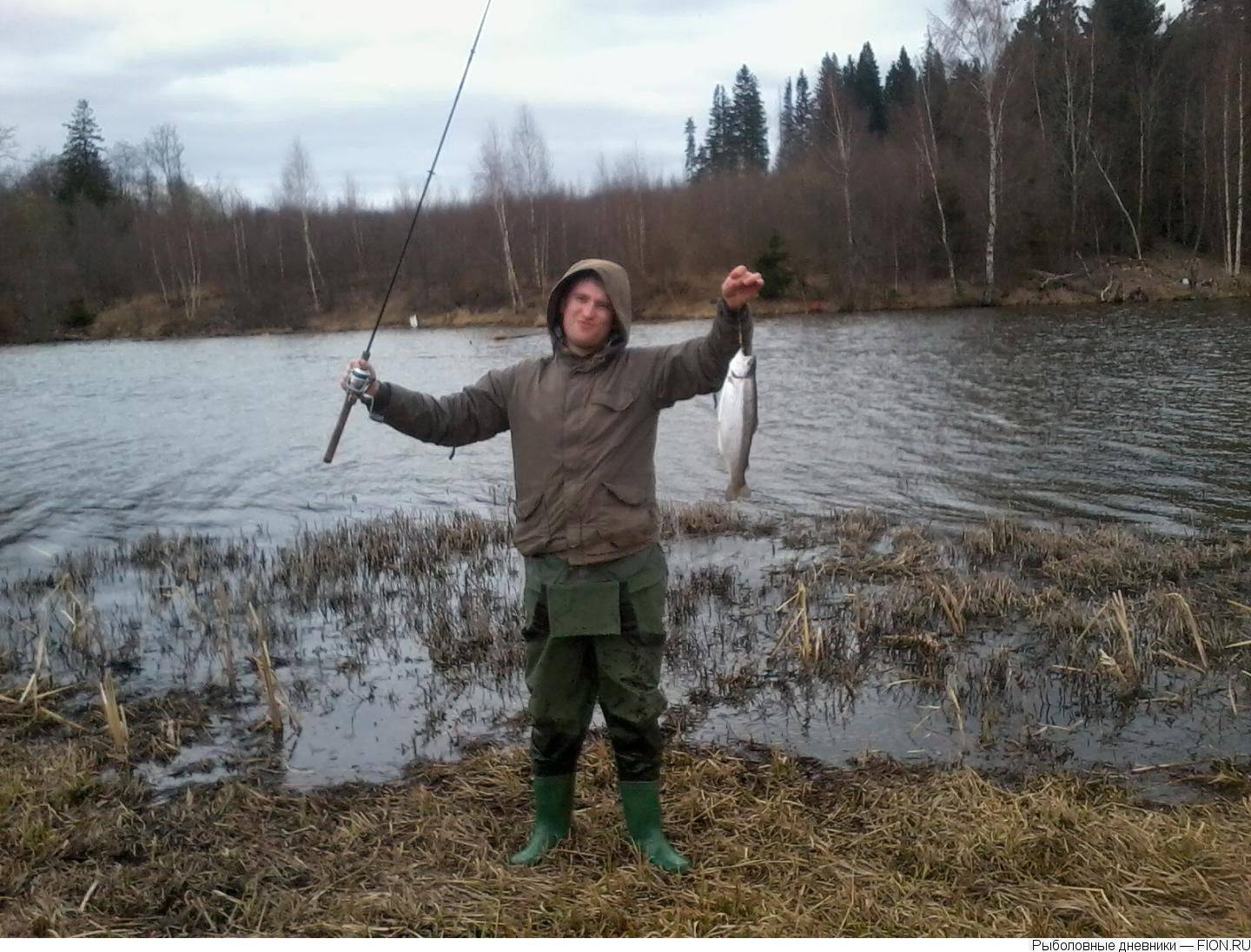 Рыбалка в савельево. Озеро Савельево. Савельево рыбалка. Савельево Лесное озеро.