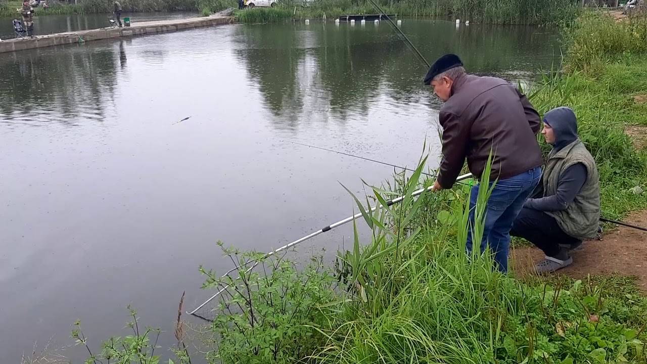 Рыбалка во владимирской области, лучшие места для ловли во владимире (бабуринское озеро, клязьма, нерль)