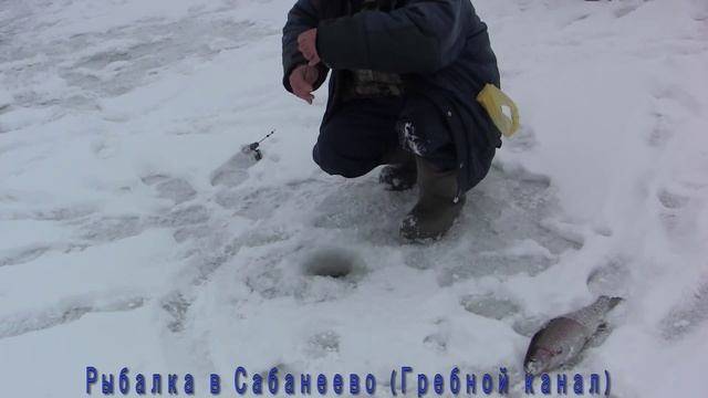 Ловля форели на платнике видео отчет