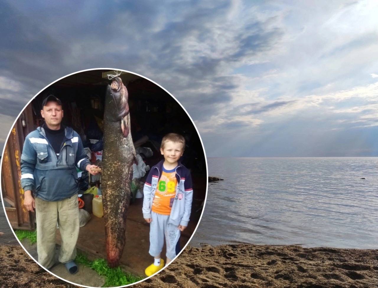 Рыбалка в карагандинской области: популярные водоёмы, виды рыбы и особенности зимнего вылова
