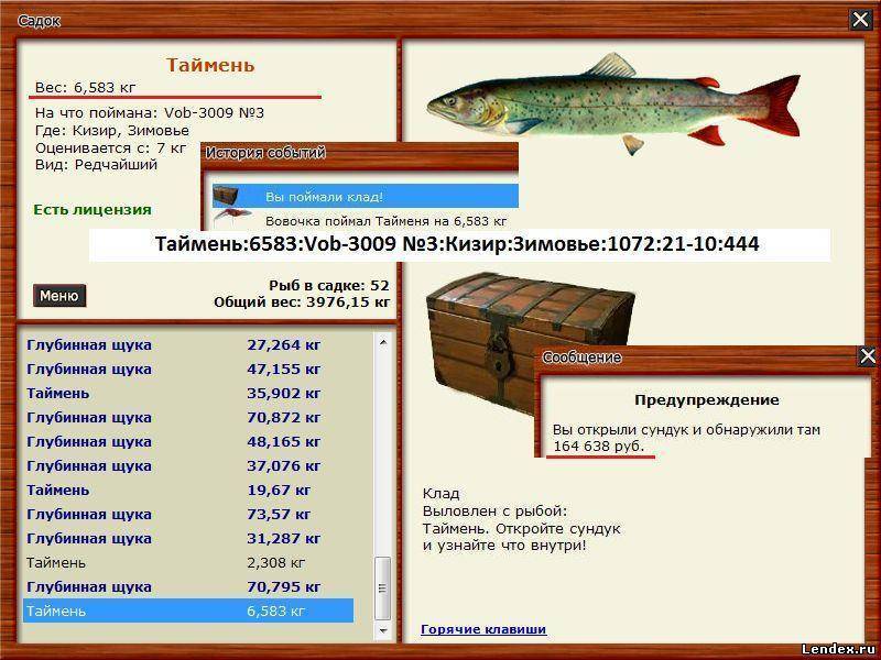 Ловля тайменя в июне: особенности, приманки, снасти, техника, выбор места, экипировка, фото, видео
