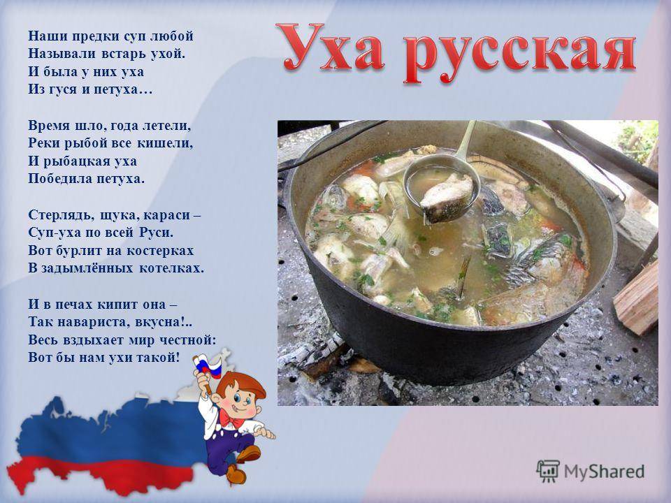 Как правильно варить уху, какая рыба лучше всего подойдет, рецепты