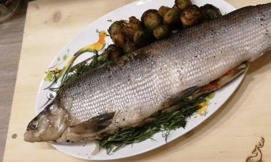 Муксун, запеченный в духовке: рецепты, как приготовить рыбу вкусной и сочной (+отзывы)
