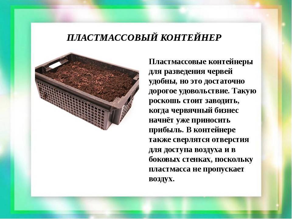 Разведение червей в домашних условиях и как бизнес. руководство