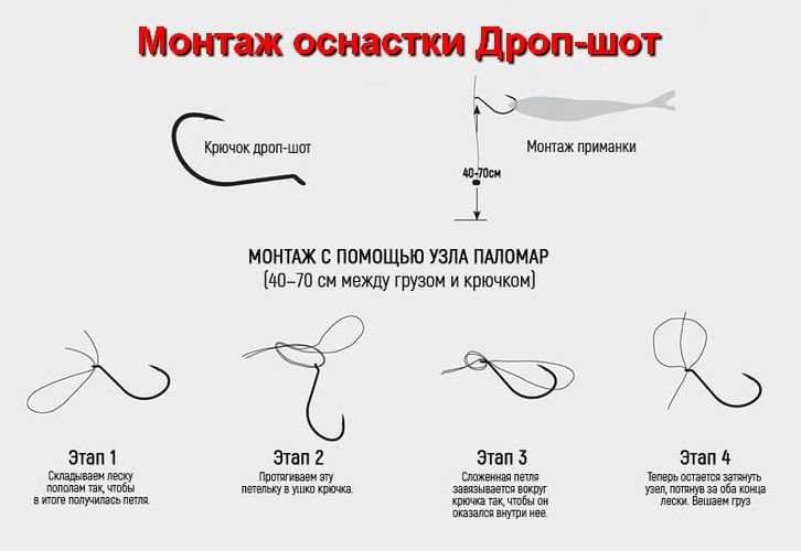 Ловля на оснастку дроп-шот с берега - техника и тактика