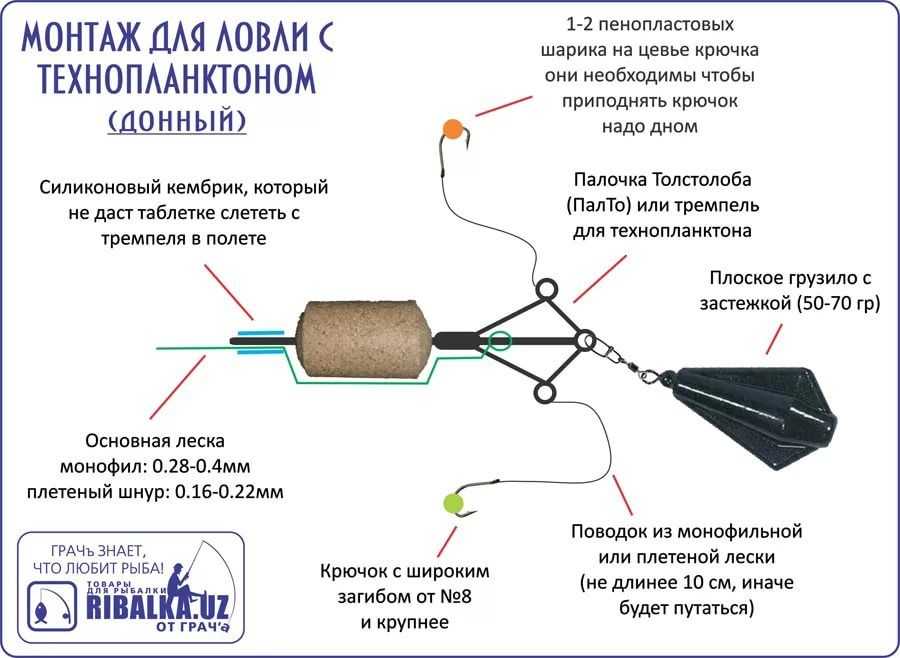 Карпфишинг - с чего начать? про: снасти и приманки. советы профессионалов - статьи о рыбалке