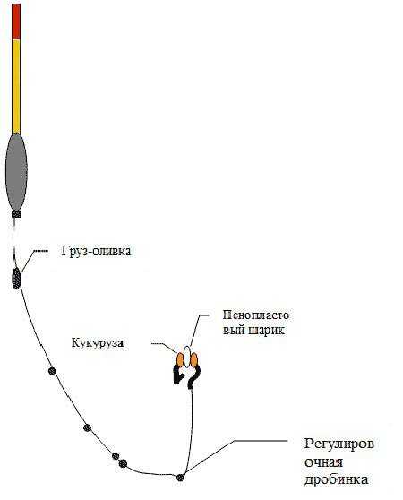 Ловля белого амура в реках, озерах и прудах: на что и как ловить летом и в другое время года, прикормка, снасти и насадки для рыбалки своими руками