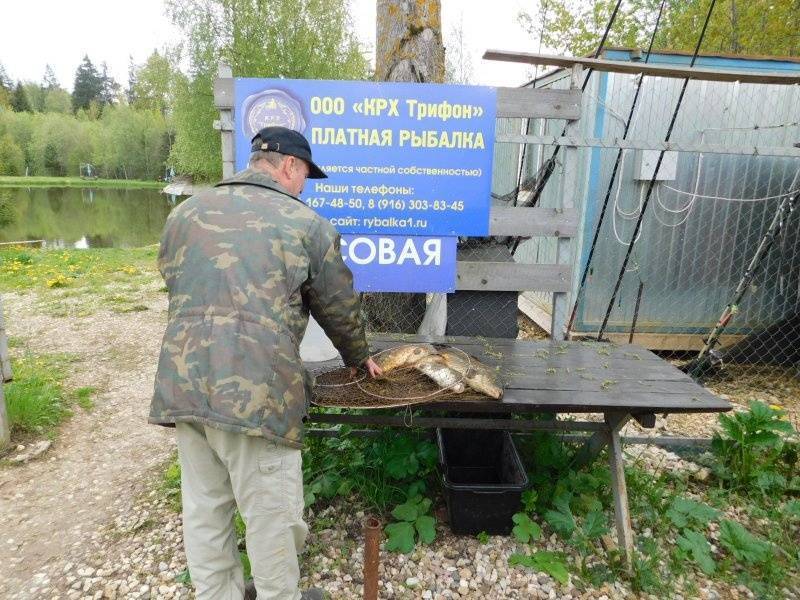 15 лучших рыболовных мест калужской области. бесплатные и платные