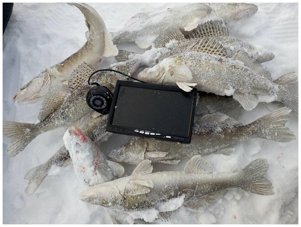 Подводные камеры для рыбалки — рейтинг 2019 года