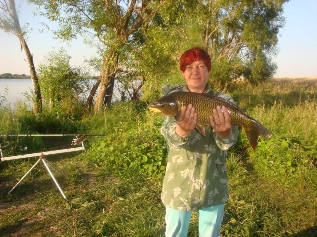 Форум рыбаков ивановской области — рыбалка в ивановской области, рыбак иваново.