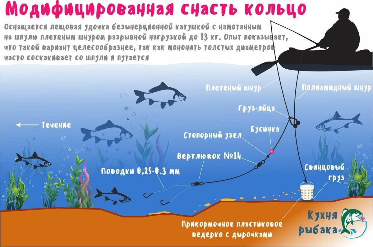 Как правильно выбрать место для рыбалки — тонкости хорошего улова
