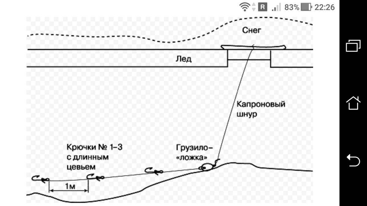 Снасть на налима: какую выбрать и как ловить