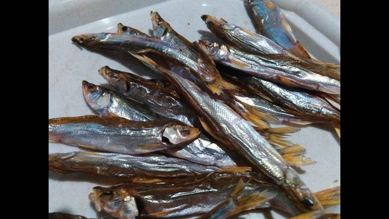 Как правильно засолить корюшку