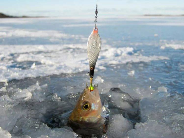 Рыбалка зимой с поплавком и кивком - ловля, тактика и техника