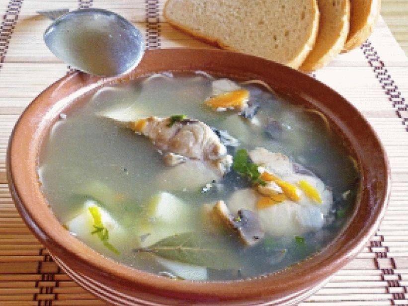 Уха из свежемороженой скумбрии, вкусные рецепты с фото