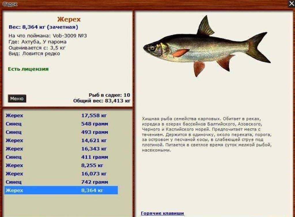 Рыбалка на лене 2021: как и на что ловить, лучшие места