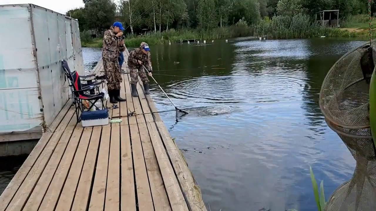 Рыбалка в пирогово - обзор и отзывы