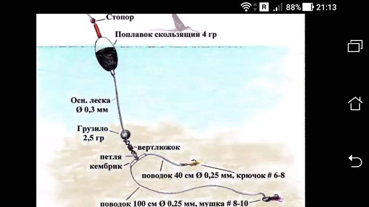 Форель на поплавок.