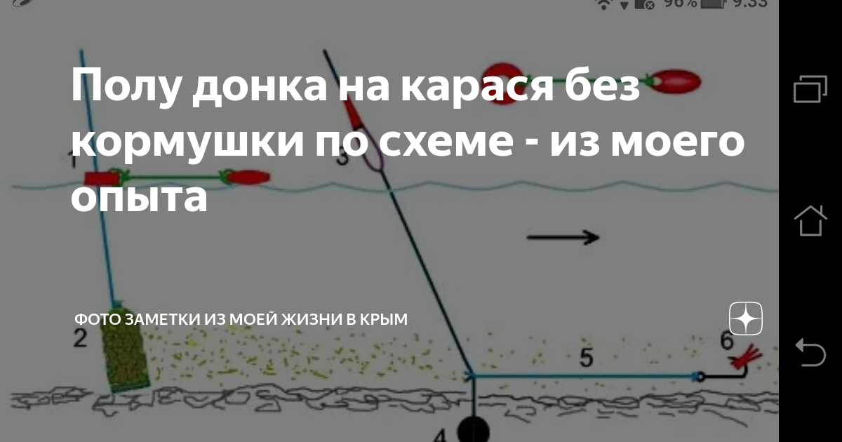 Ловля карася на донку с берега
